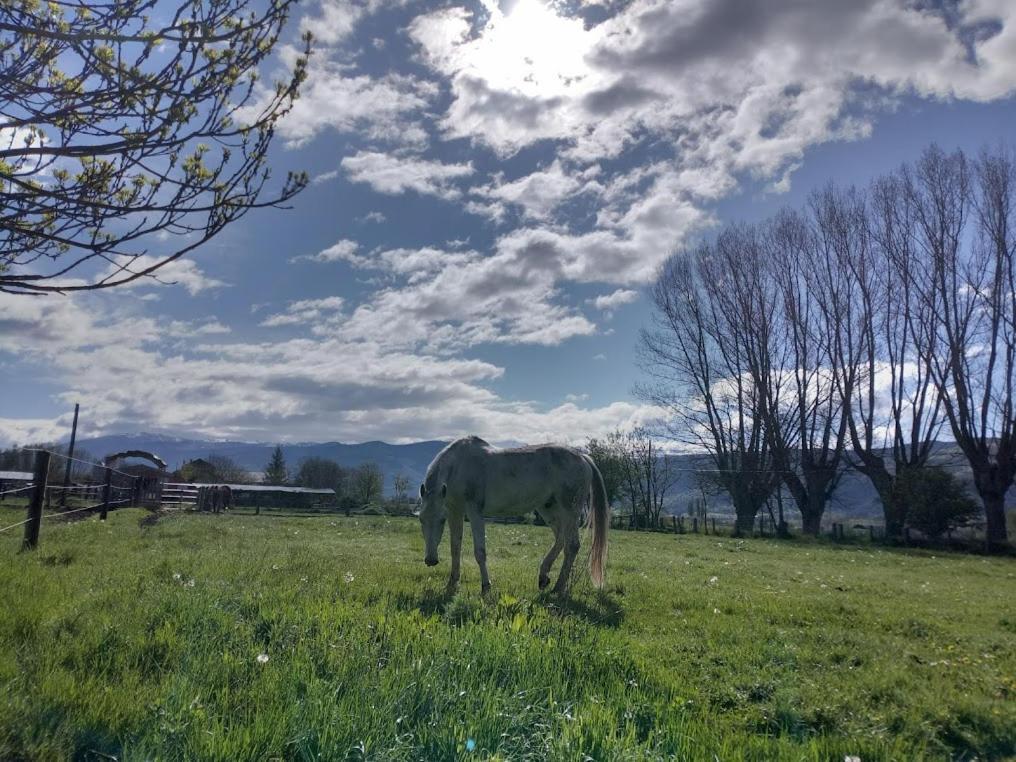 Ca L'Andreu Villa Ventola Eksteriør billede